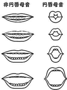 非円唇後舌中央母音